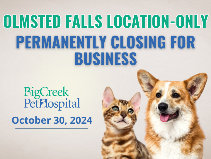 Olmsted Falls Location-Only, Closing for Business