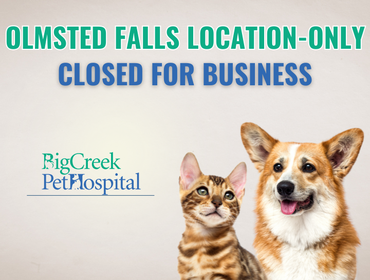 Olmsted Falls Location Only - Permanently Closed for Business